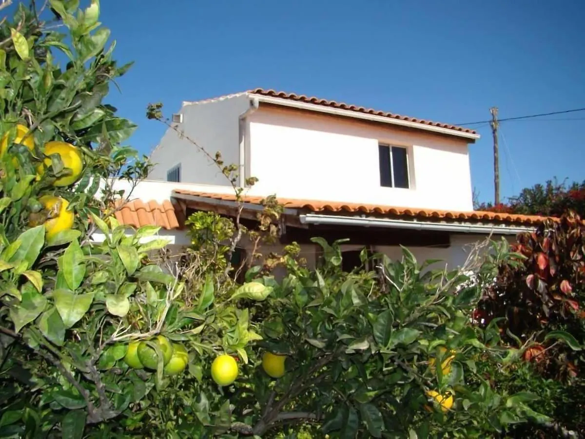 Apartment Orchard Cottage Granadilla De Abona