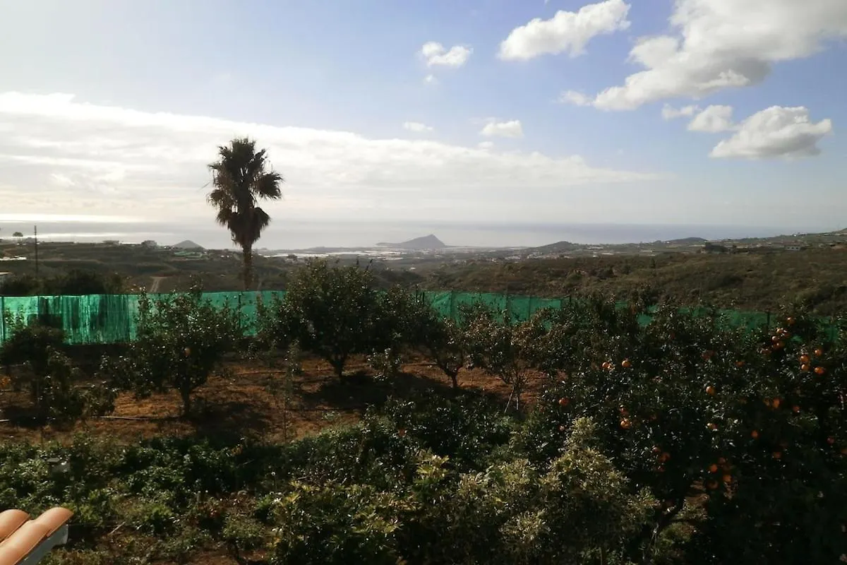 Orchard Cottage Granadilla De Abona Apartment
