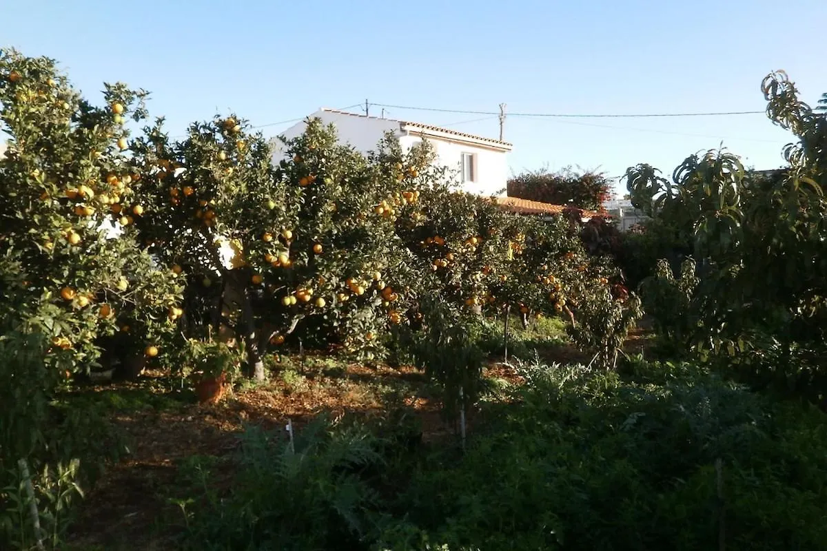 Orchard Cottage Granadilla De Abona Apartment